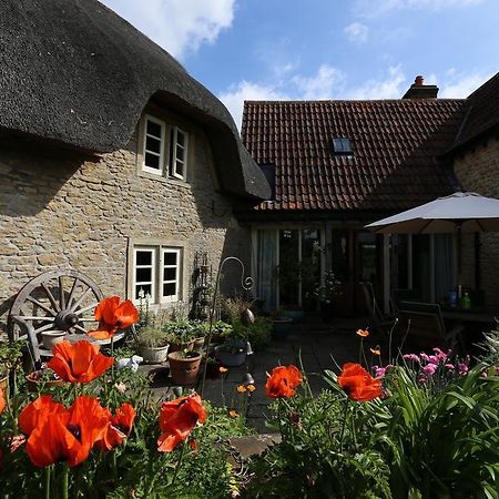 Thatch Cottage Lacock Kültér fotó
