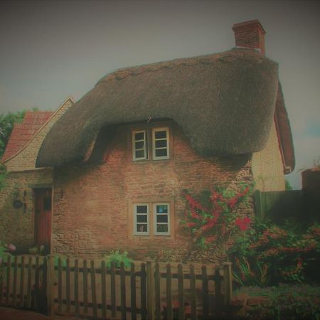 Thatch Cottage Lacock Kültér fotó