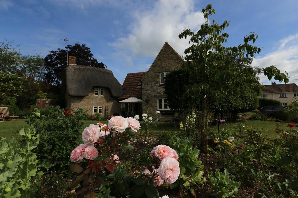 Thatch Cottage Lacock Kültér fotó