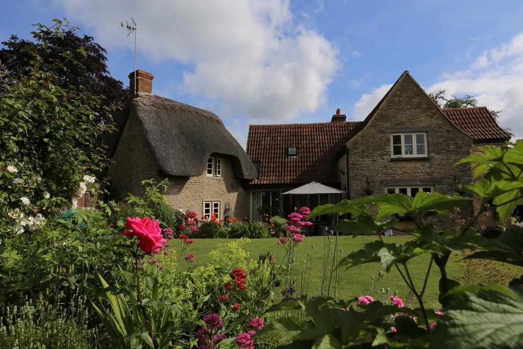 Thatch Cottage Lacock Kültér fotó